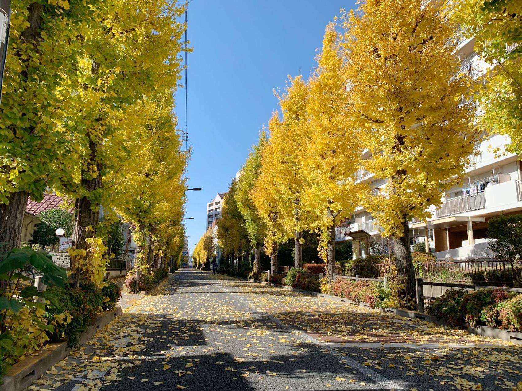 Rosenheim Tokyo Shinjuku Токио Экстерьер фото
